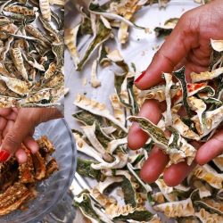 dried bitter gourd chips